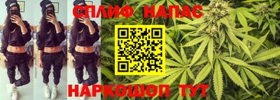 PSILOCYBIN Малоярославец
