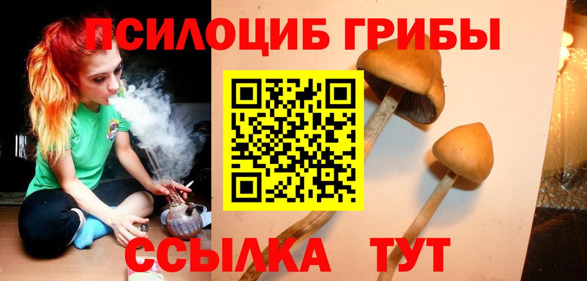 Галлюциногенные грибы ЛСД  Вход с VPN  Домодедово  Галлюциногенные грибы Psilocybine cubensis 